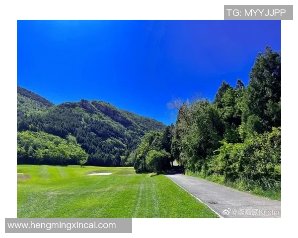 骏马足球：激情碰撞与团队协作的完美结合，开启运动新篇章